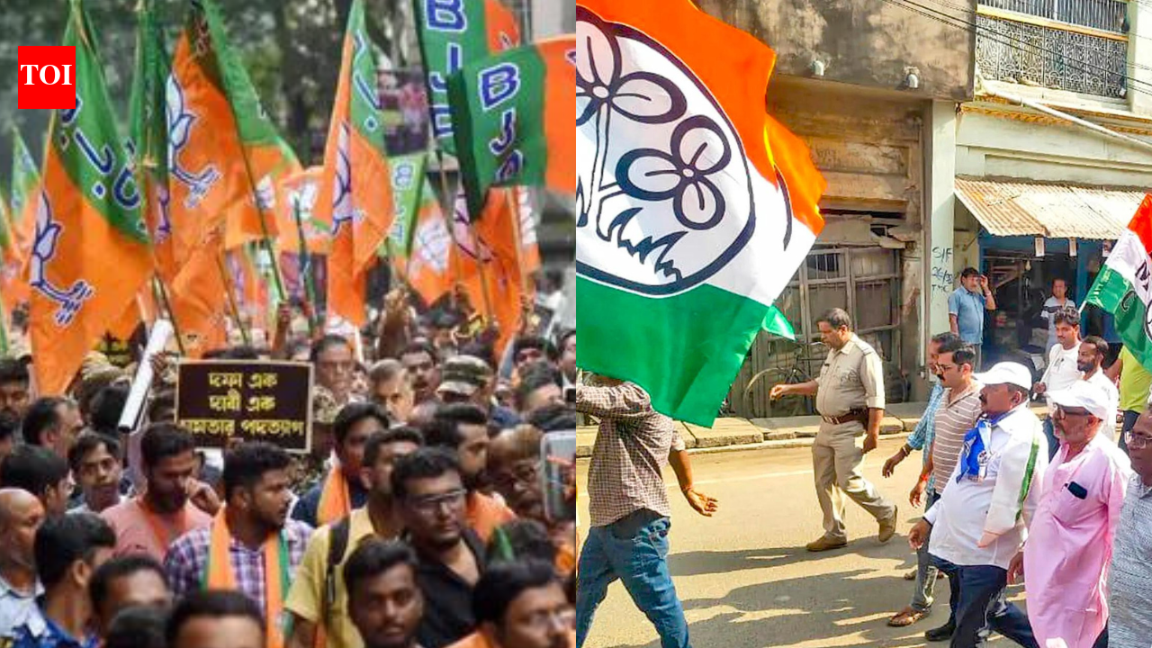 Bengal assembly elections: From TMC to BJP - top 10 wealthiest candidates in fray