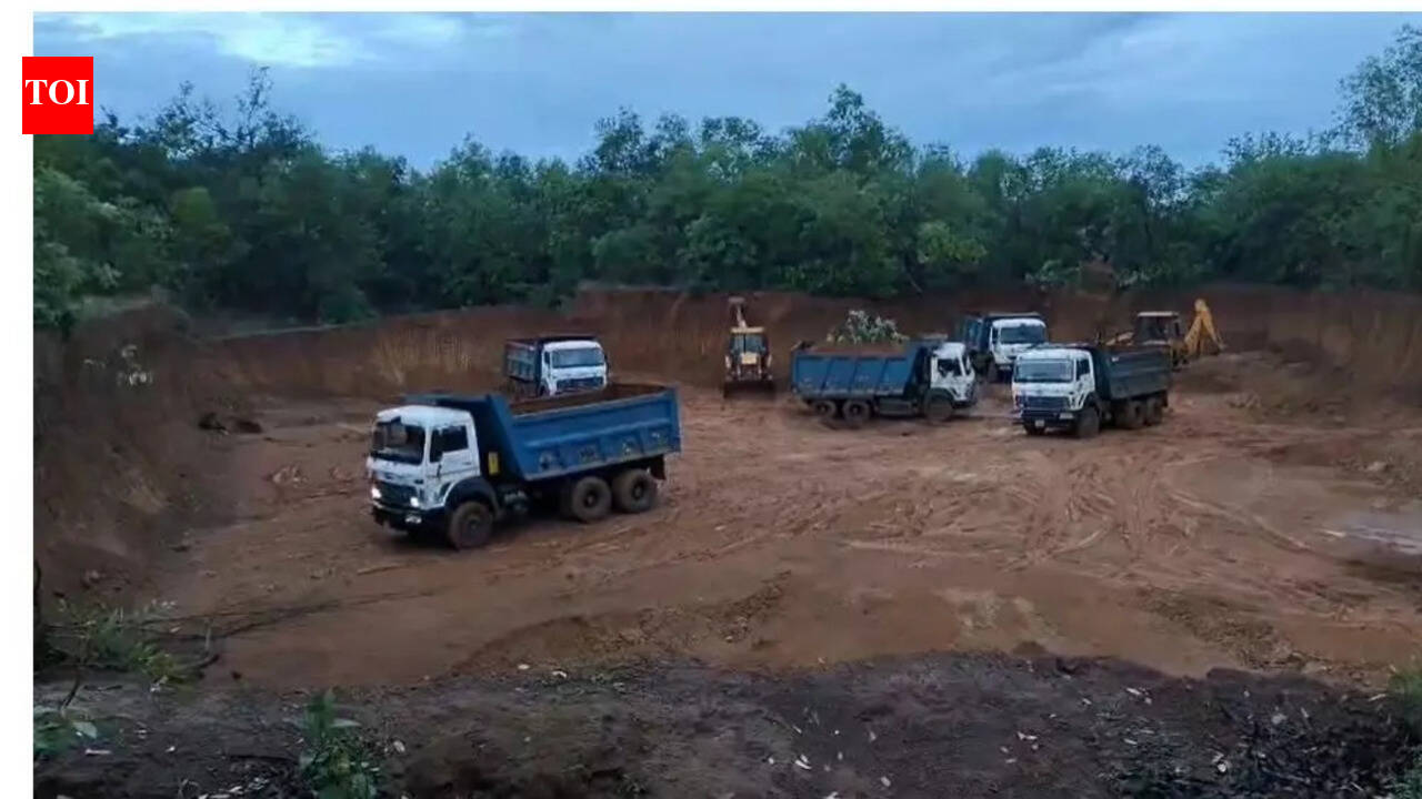 NGT orders probe into illegal mining of morrum, laterite stones in Khurda district