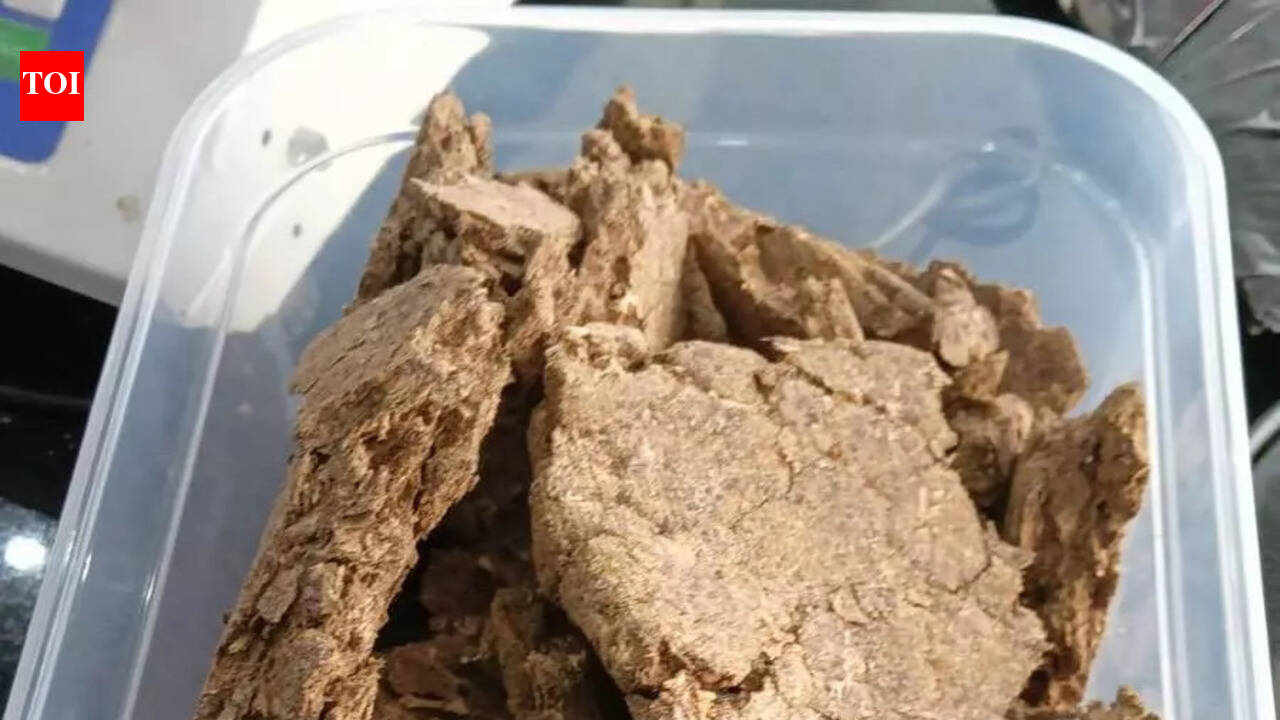 Hydroponic weed worth Rs 2cr seized at city airport from 2 travellers from Bangkok