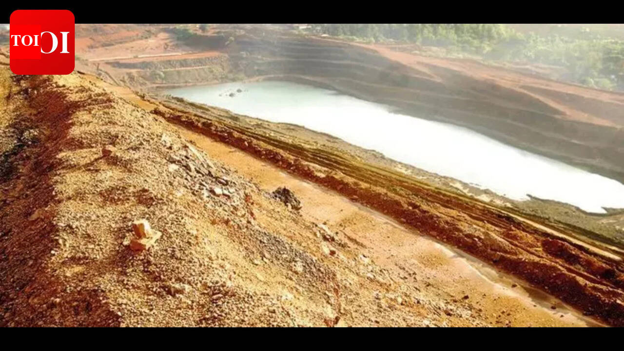 53 bids for 6 mineral blocks to be auctioned on April 16