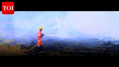 Fire doused near Taleigao school