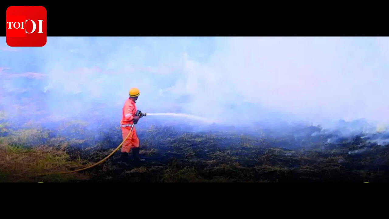 Fire doused near Taleigao school