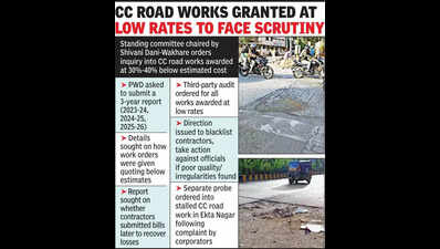 Standing Panel To Probe Underbids In Cement Rd Works