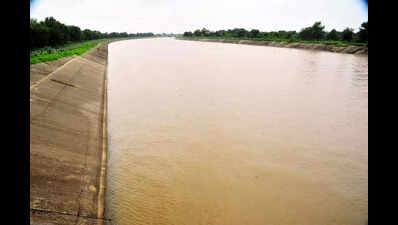 In the Gujarat assembly