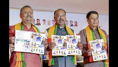 Statewide survey in 3 months, SIT crackdown on illegal mining