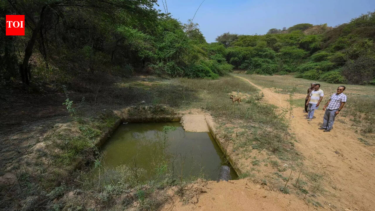 Setback for waste pickup as MCG’s plan to hire private companies faces delay again