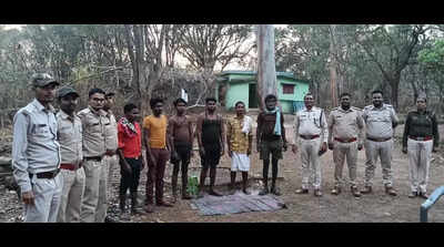 Sniffer dog leads forest officials to nilgai poachers in Chhattisgarh