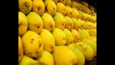Poll code hits tripartite meeting to fix mango prices in Krishnagiri
