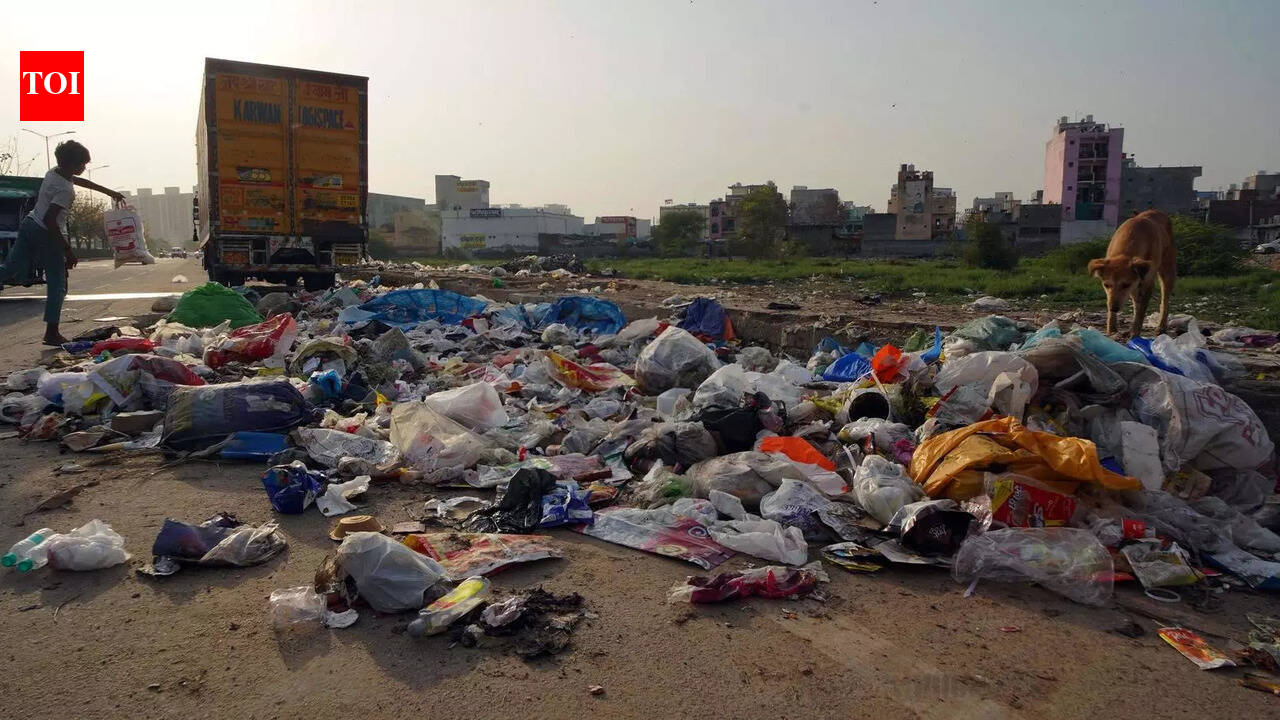 Gurgaon civic body steps up checks, fines 9k for flouting waste and ...
