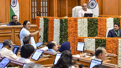 Delhi Budget: Central grants dip, eye on open market