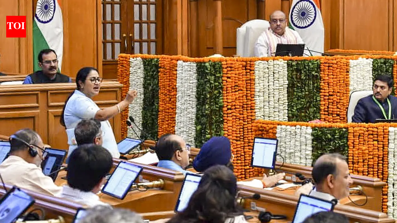 Delhi Budget: Central grants dip, eye on open market