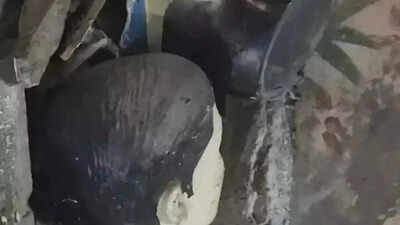 Kakori martyrs’ statues bulldozed in Shahjahanpur, sparks political outrage