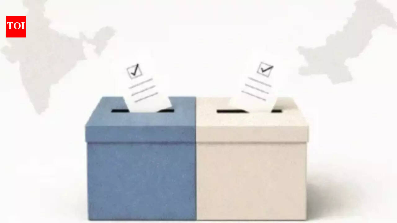 A ballot in Karachi, a ballot in Kasaragod: One family’s journey across 2 nations