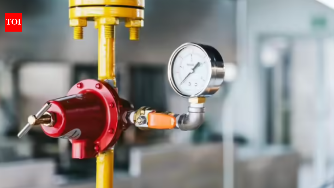 Govt mandates switch to piped gas: Centre orders transition to PNG wherever available; here's what it says