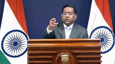 'Peddling lies and frivolous narratives': India rejects Pakistan remarks on banned terrorist organisation