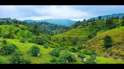 CAG flags road projects, construction approval in eco zones