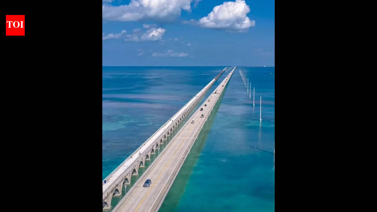 Indian tourist Abhinav Lamba dies in Florida Keys reef while scuba diving, was found in distrss