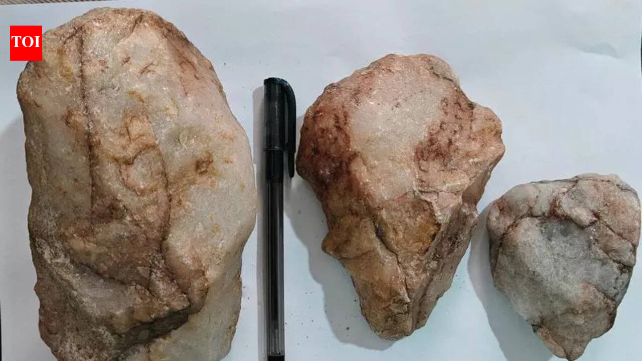 Over 1.5L years old stone tools found near Hyd
