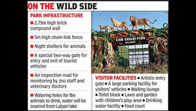 Rajkot readies its own Gir-style lion safari