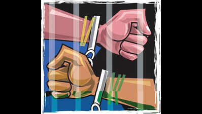 FIR against Thai woman for illegal stay, Pushkar hotel owner for giving shelter