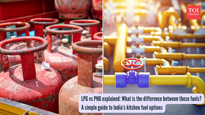 LPG vs PNG explained: What is the difference between these fuels? A simple guide to India’s kitchen fuel options