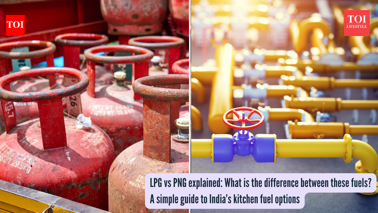 LPG vs PNG explained: What is the difference between these fuels? A simple guide to India’s kitchen fuel options