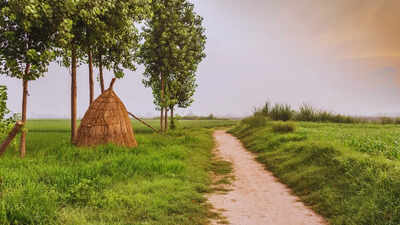 Why is this village in Maharashtra being called the Future of Rural India?