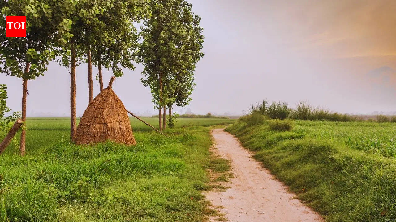 Why is this village in Maharashtra being called the Future of Rural India? | - The Times of India
