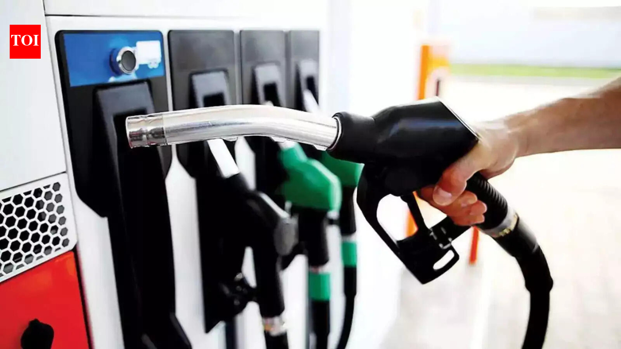 Government assures strong fuel security: No LPG shortage, crude reserves secured, PNG transition underway