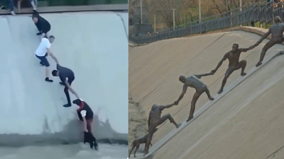 Watch: Strangers, a dog, and a moment the world chose to remember