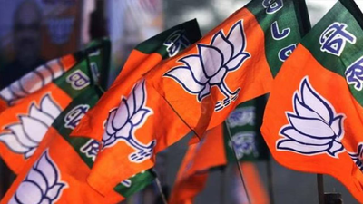 Donations to national parties surged 161% in FY25, BJP accounted for over 91% share: ADR