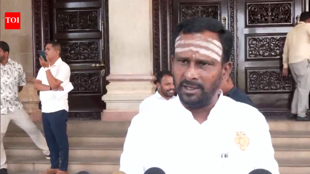 'Can't stand in queues like general public': Karnataka Congress MLA demands free IPL tickets for all legislators