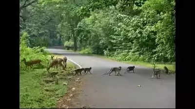 State govt will soon recruit additional security personnel to prevent encroachments in Aarey Colony