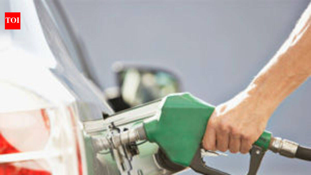 Goa petrol dealers assure no shortage after panic buying