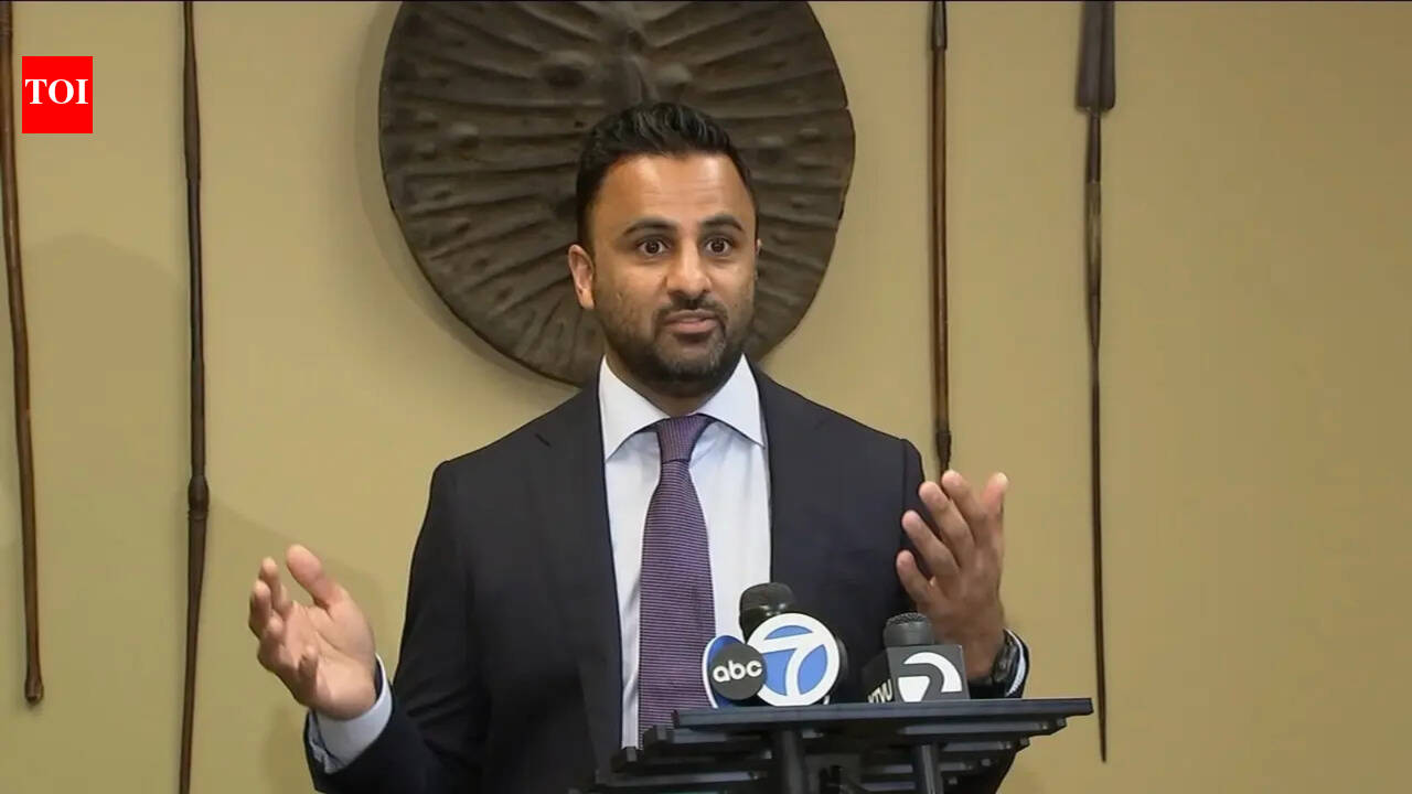 Silicon Valley's Ethan Agarwal urges Trump to lift ban on Iranian students, gets called out as 'moron'