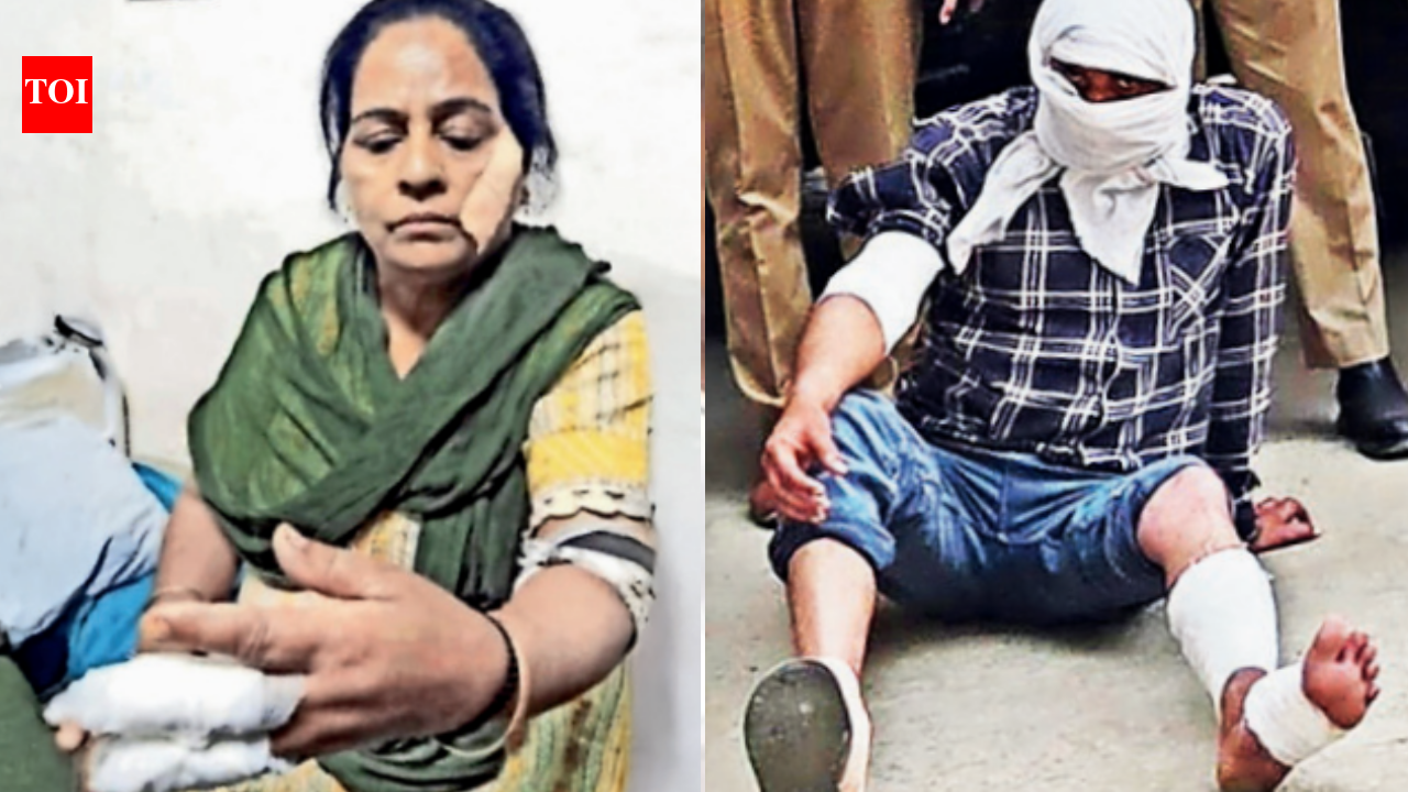 Stabbed thrice, 54-year-old Punjab woman fights off intruder posing as delivery agent