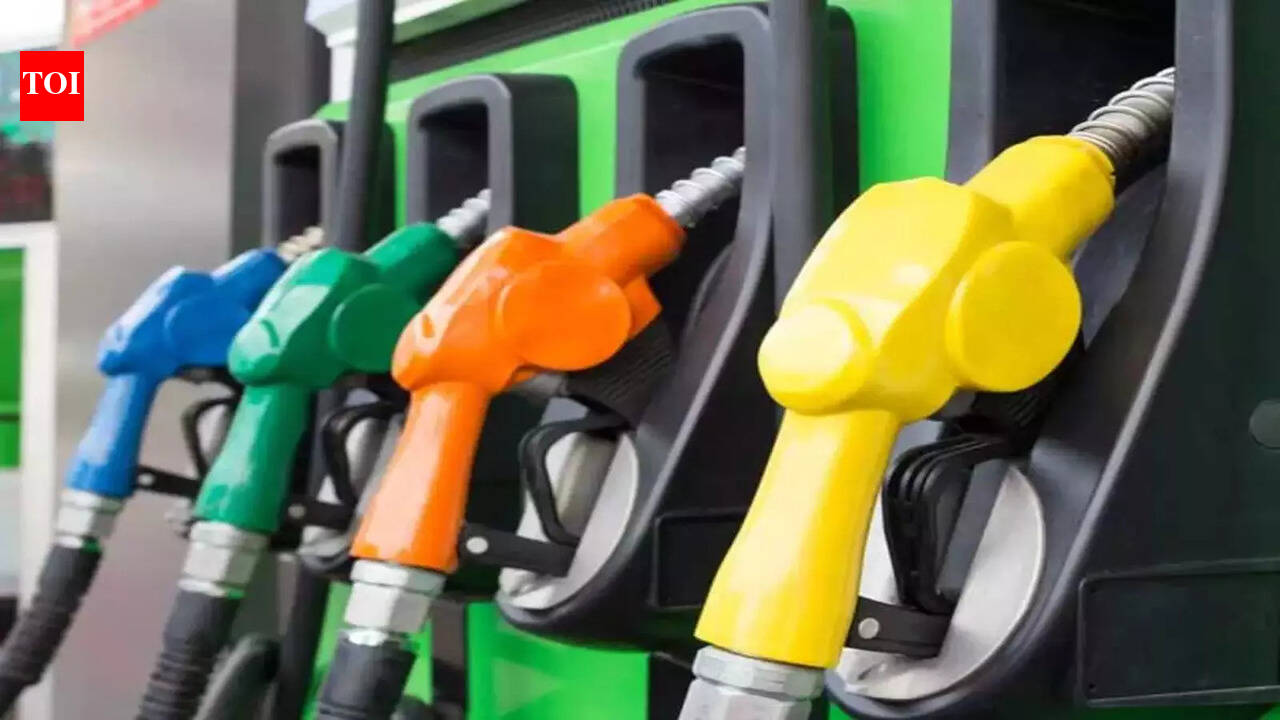 Govt cuts excise duty to Rs 3 a litre on petrol, to nil on diesel amid Middle East tension