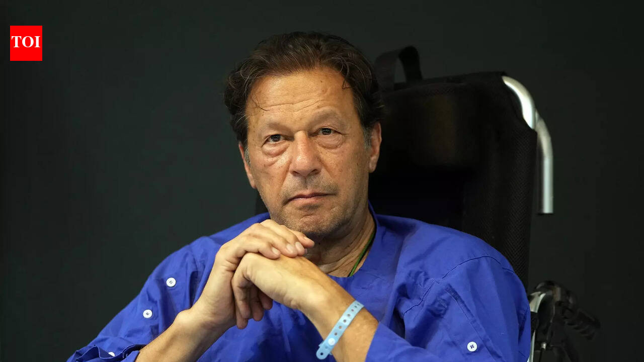 Fan denied entry to stadium for ‘Free Imran Khan’ T-shirt, forced to cover up