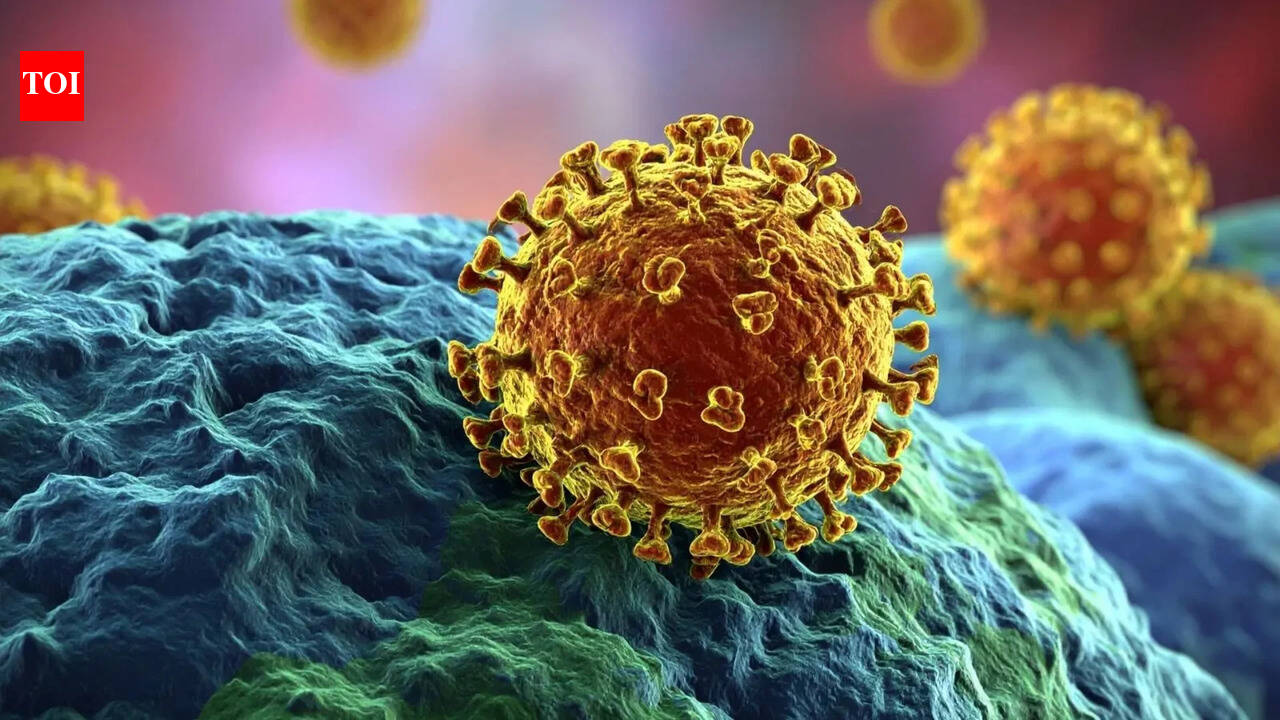 Can your immune system fight cancer? Expert breaks down how immunotherapy works and when it is recommended