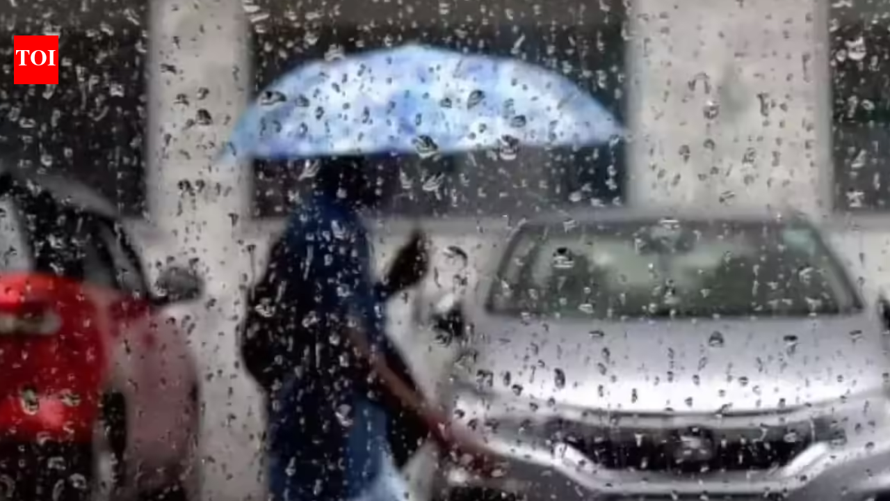 Rain lashes several parts of Delhi-NCR; IMD issues yellow alert for storms, gusty winds