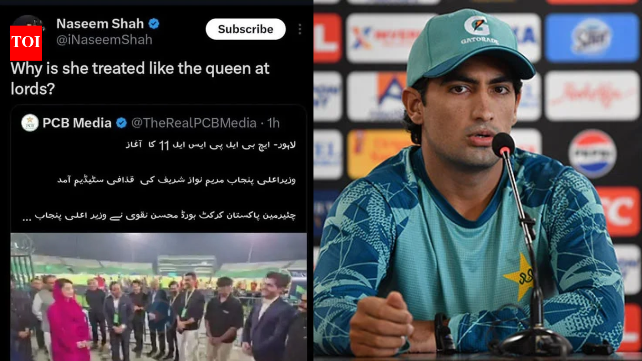 Pak cricketer’s 'Queen' jibe at Maryam sparks debate, later deletes post