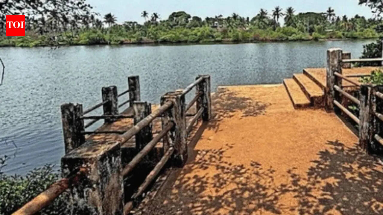 Kerala assembly elections: How a Congress cradle became a red fortress