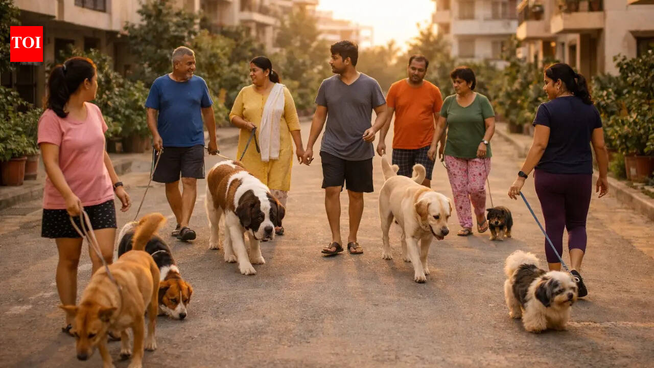 Community Connect: The rise of community dog walks in Chennai