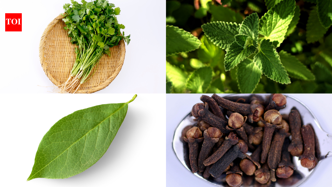 Grow these 5 spice plants at home: Low maintenance, big flavour boost for your kitchen | – The Times of India