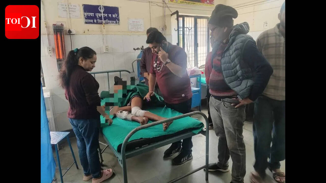 Uttarakhand: Wild boar attacks 13-year-old boy in Bageshwar village, locals demand compensation
