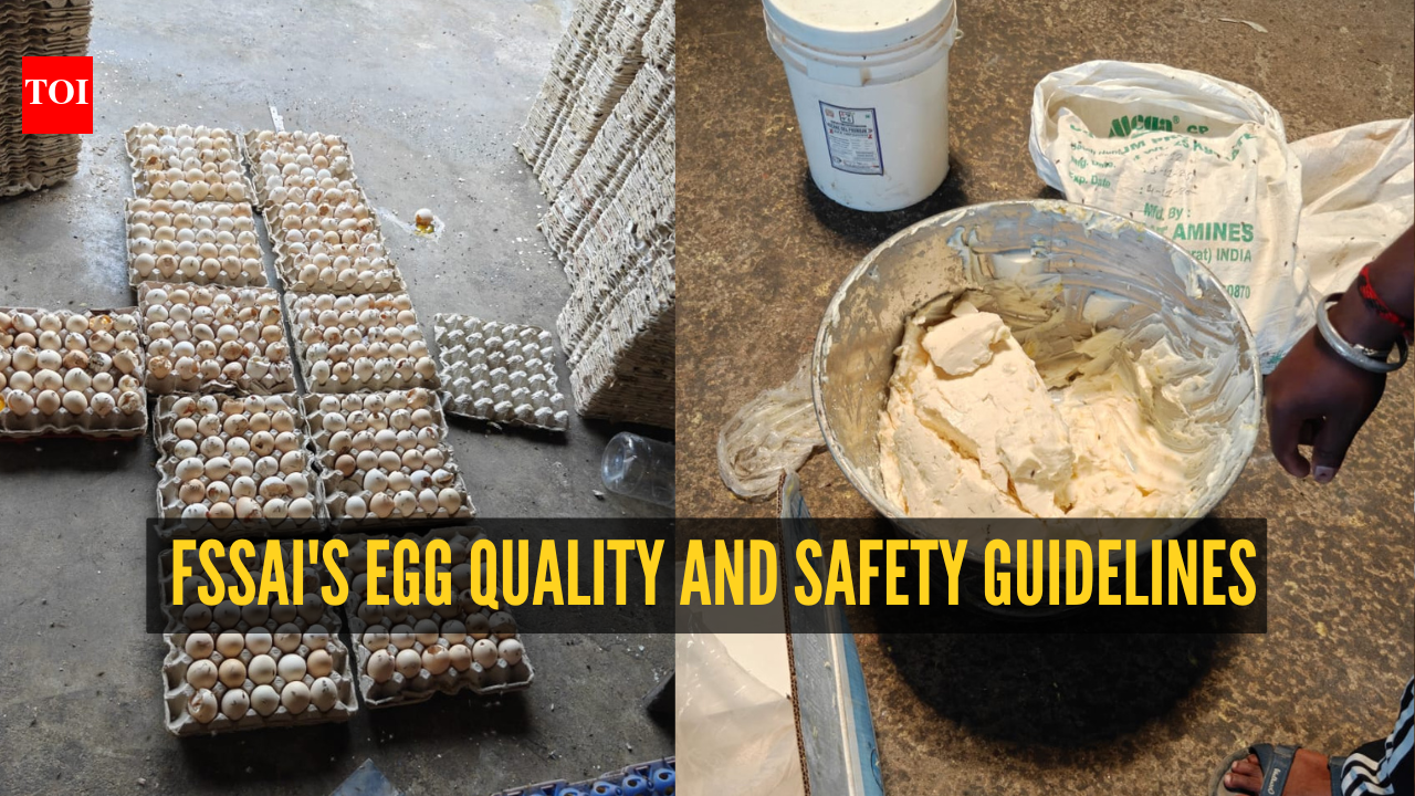 Hyderabad bakery busted using rotten eggs and chemicals: FSSAI's egg quality and safety guidelines for consumers