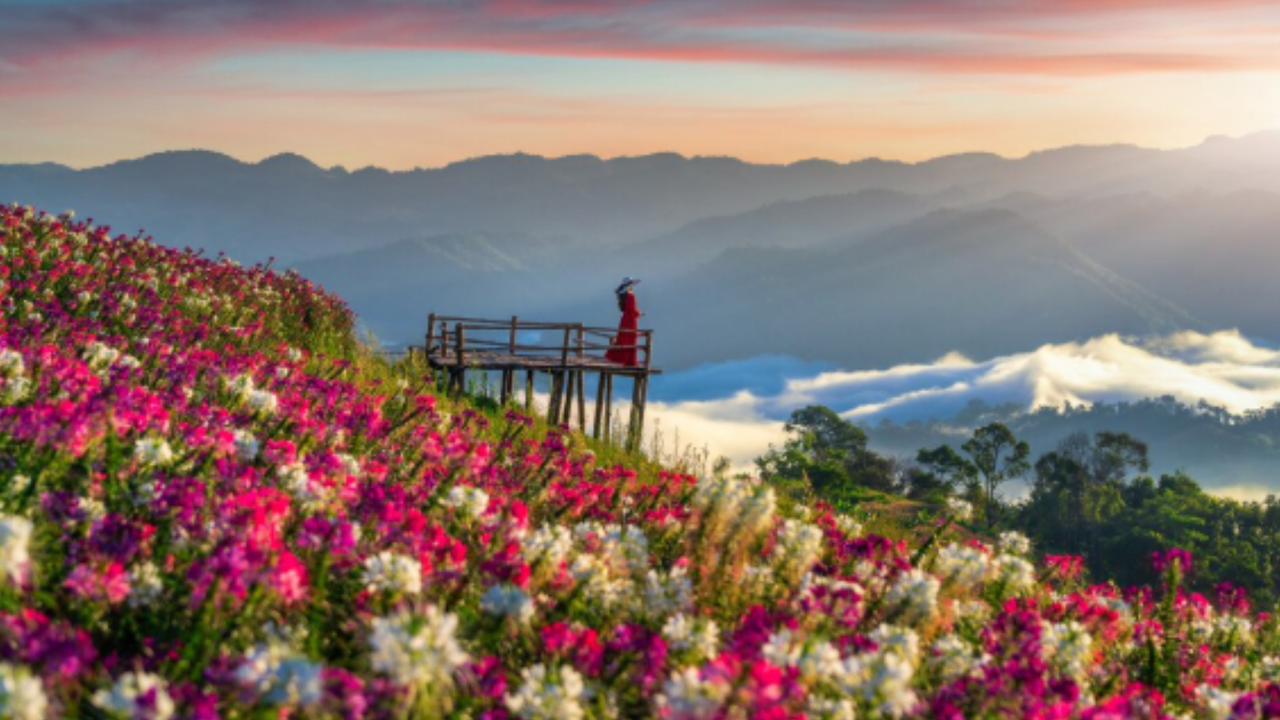 Best Flower Destinations in India to Visit in Spring | Top Blooming Places