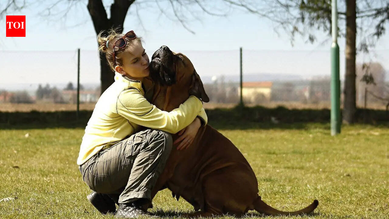 Dogs lived with humans 15,000 years ago: Genetic discovery reveals the ancient human–dog bond in Britain