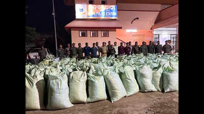 Ganja worth Rs4cr seized in Gajapati district