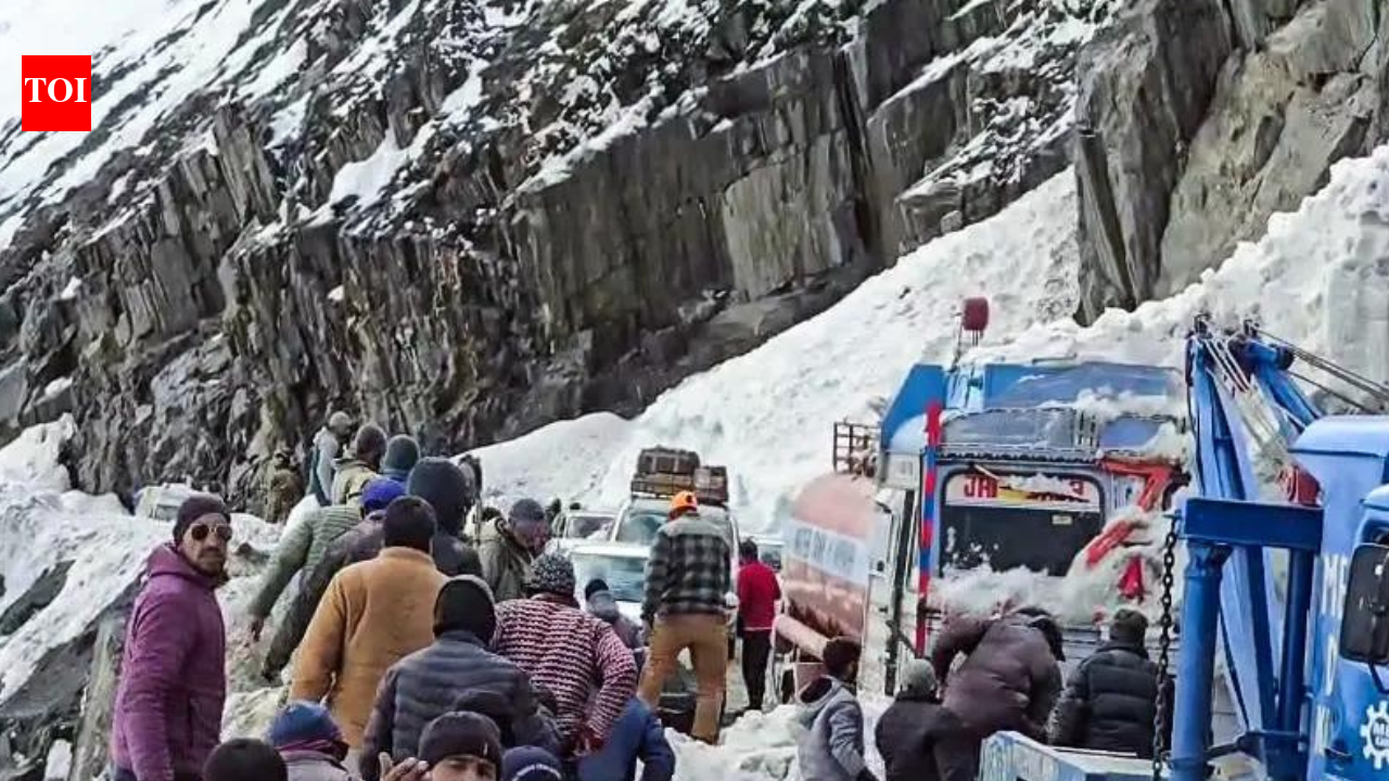 7 killed as multiple avalanches hit Srinagar–Leh national highway, several vehicles trapped under snow - top developments
